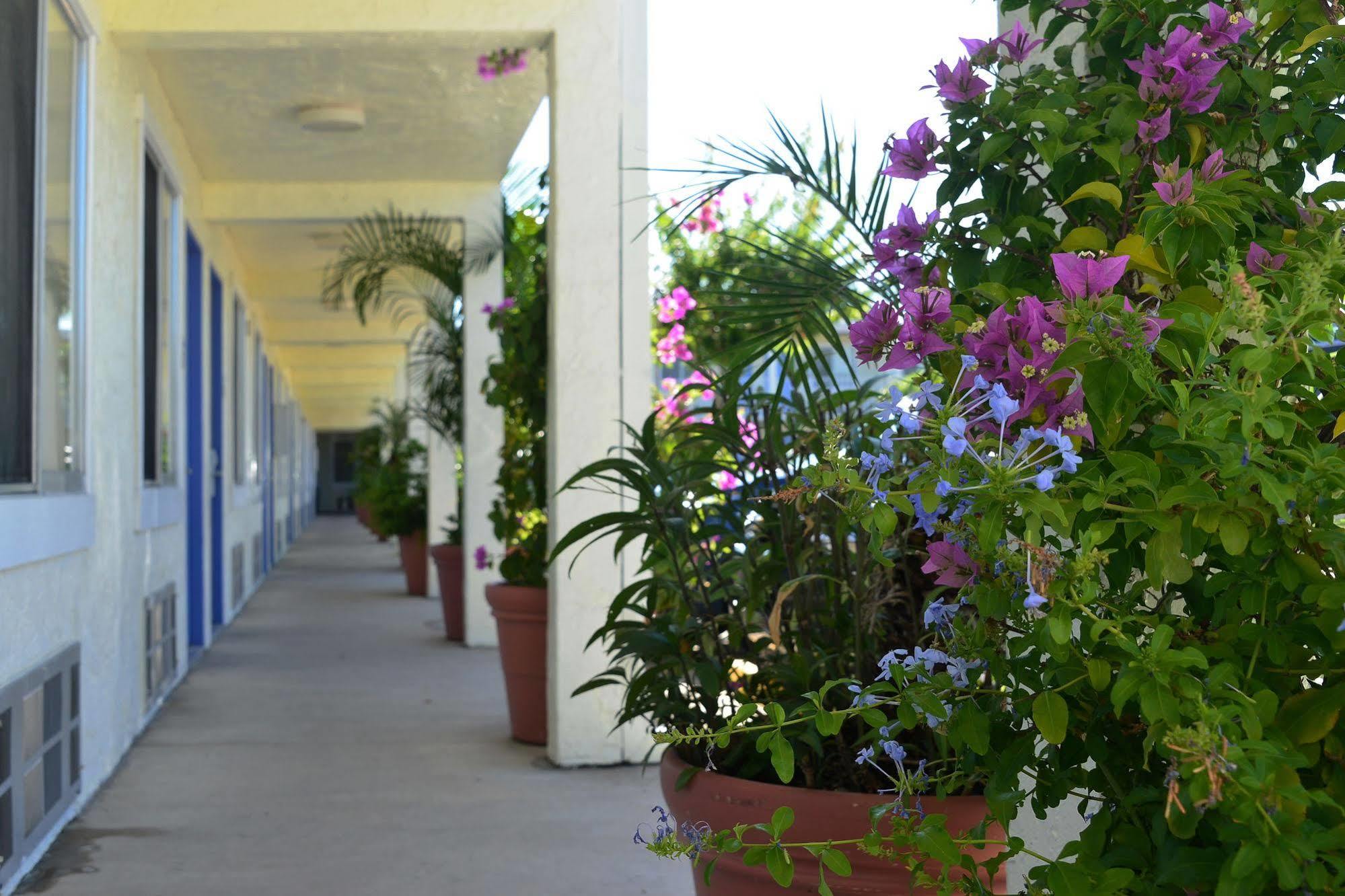 Americas Best Value Inn Bradenton-Sarasota Extérieur photo